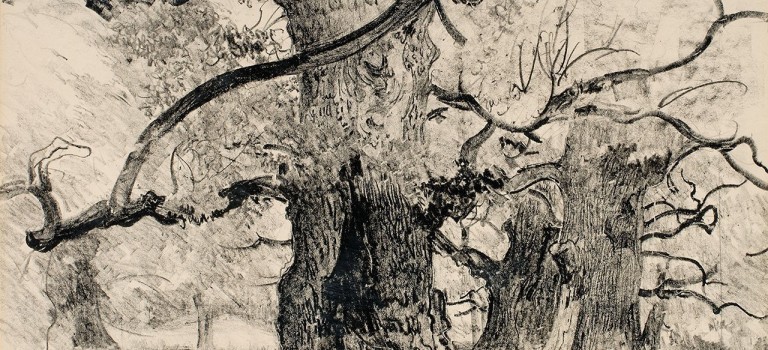 W wierszach myślę obrazami