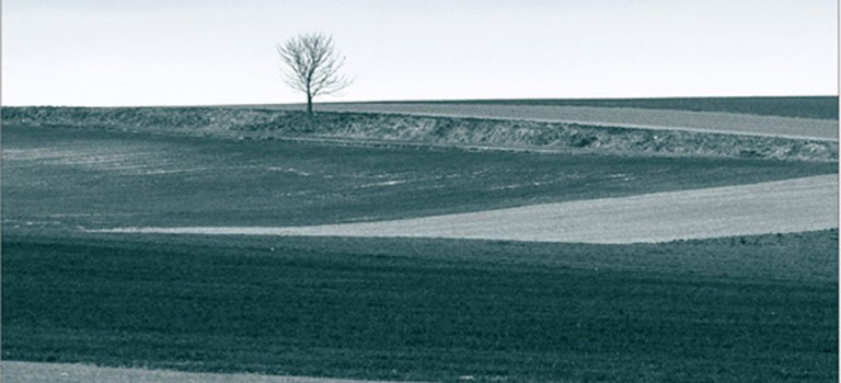 Literackie światy Piotra Guzego