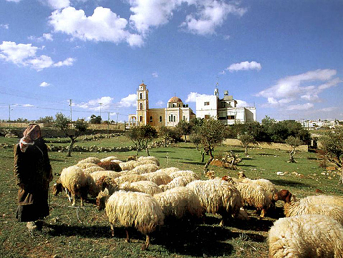 Pastwisko oddalone o ok. 1 km od Betlejem.