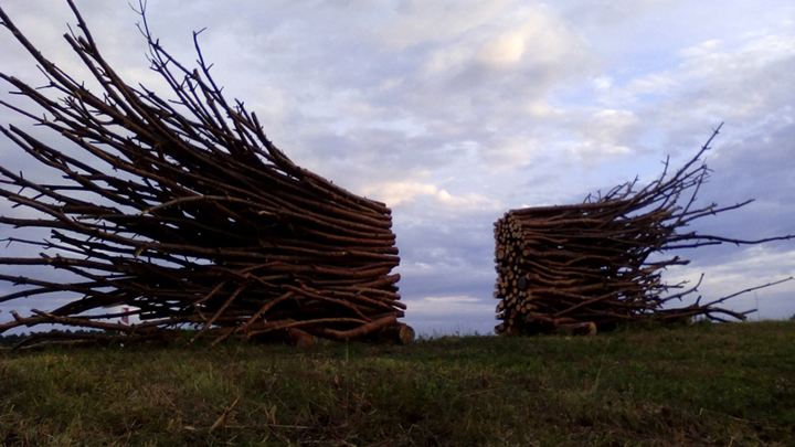 Ryszard Litwiniuk, The Gate, Land Art Festival, Poland.