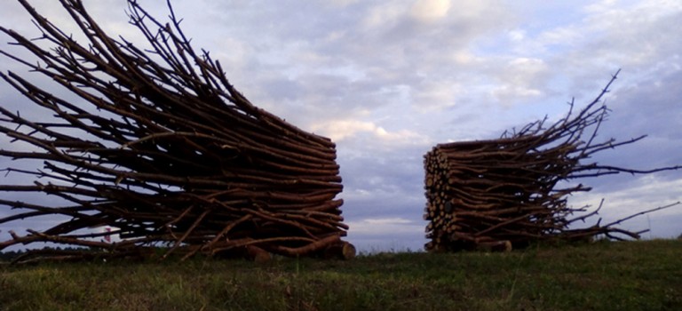 Ryszard Litwiniuk – rzeźbiarz natury