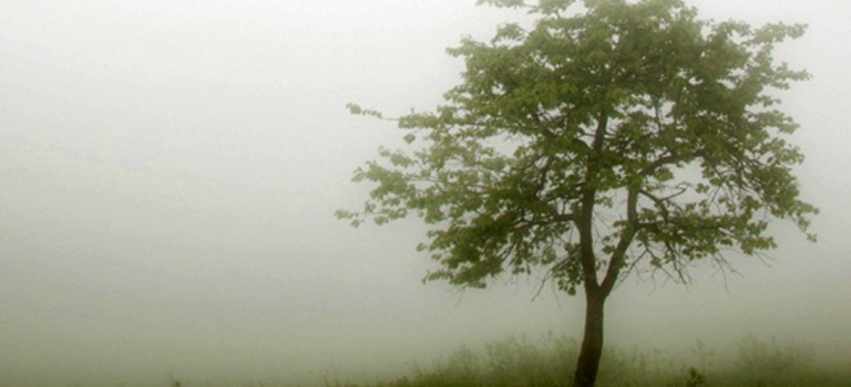 Upiorne echa przeszłości – „Stan wyjątkowy” Piotra Guzego