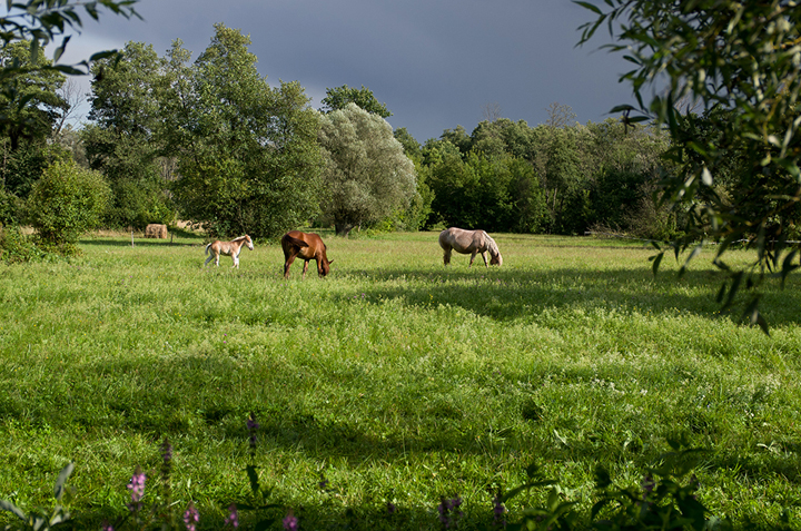 Mościce, fot. Lech Ścibor-Rylski