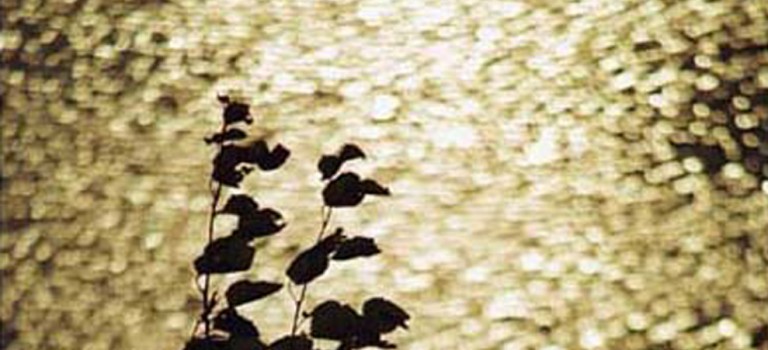 Nad jeziorem Huron Nad jeziorem Huron