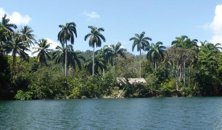Rzeka Toa w okolicy miasta Baracoa.