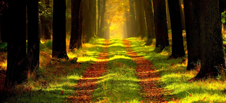 Nieodgadnięte Nieodgadnięte