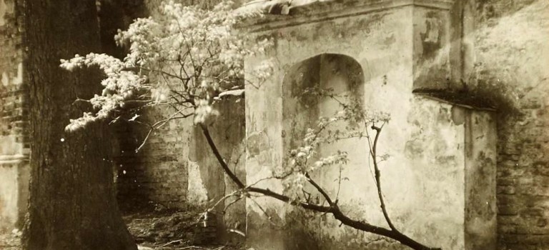 Życie za lejkę Życie za lejkę