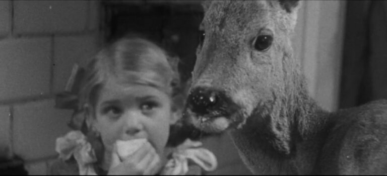 „O zwierzętach i ludziach” – opowieść o człowieczeństwie, które nie ma ceny „O zwierzętach i ludziach” – opowieść o człowieczeństwie, które nie ma ceny